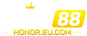 Xin88