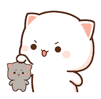Our Blog