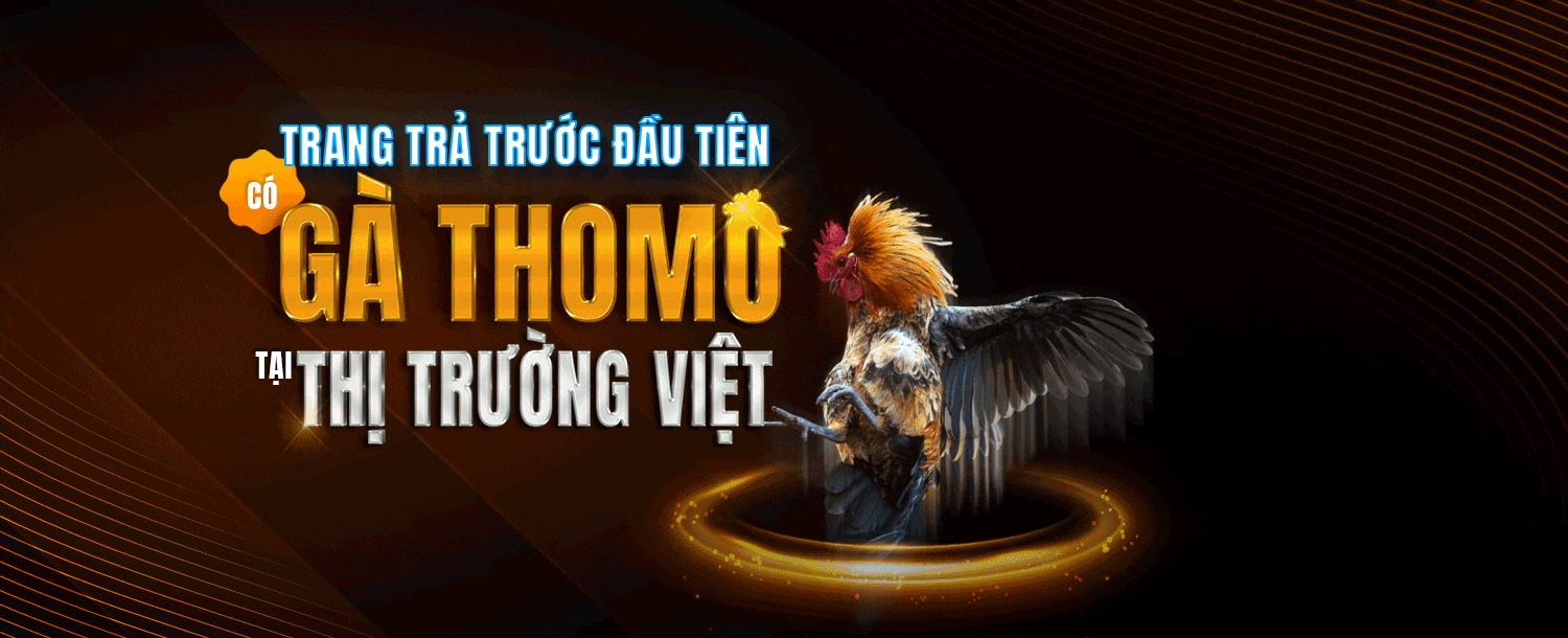 https://alo7898casino.org/