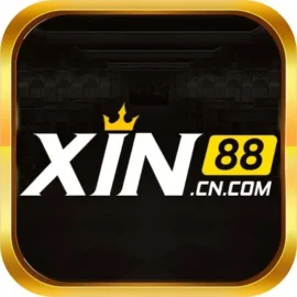 xin88