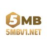5MB