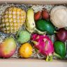 Jurassic Fruit 🥥🍍🥑