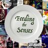 Feeding the Senses - Episode 69 - Korby Lenker - Songwriter, Multi-instrumentalist, Short Story W...