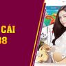 W88 | Chia Sẻ Link Vào Trang Chủ Mới Nhất Trong 2024