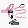 Dog Friendly Co. Code: CHAMPAGNE15