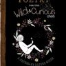 Poetry for the Wild & Curious Ones: A Necessary Nature Guide: Ernst, Sara: 9798878129312: Amazon....