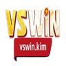 VSWIN