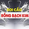 Rồng Bạch Kim - Địa Chỉ Soi Cầu Chính Xác Cùng Thành Viên