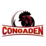 https://www.youtube.com/@congaden_top