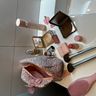 CAIA Cosmetics