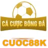 https://cacuoc-bongda.info/