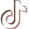 TikTok (45K)