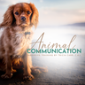 Animal Communication Course, LIVE Training Starts March 30, 2025