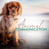 Animal Communication Course, Immersive Training + Certification Course - On Demand