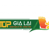 Top Gia Lai