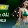 HB88 Nhà Cái Cá Cược Hàng Đầu Châu Á