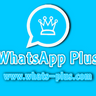 WhatsApp Plus - Instabio | Linkbio