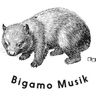 Bigamo | Bandcamp