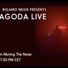Youtube: Al Pagoda - Livestream @ Muting The Noise