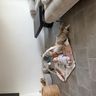 Baby Spielsachen 0-6 Monate