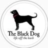 Black Dog Ambassador
