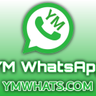 YM WhatsApp – Download all versions of YMWhatsapp apk latest version for free