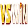 VSWIN