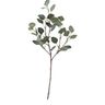 Eukalyptus künstlich | IKEA