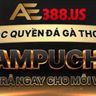 AE 388