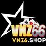 VNZ6