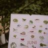 Saisonkalender