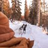 6 Of The Best Winter Activities In Fairbanks Alaska
