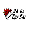 Đá gà cựa sắt