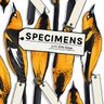 *Listen here* ‎Specimens: Jazmine Miles-Long - Taxidermist