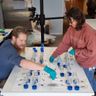 A Stable Future – Research into the Stability of Materials used in Taxidermy Manufacture. | NatSCA