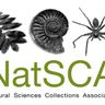 Top NatSCA Blogs of 2023 | NatSCA